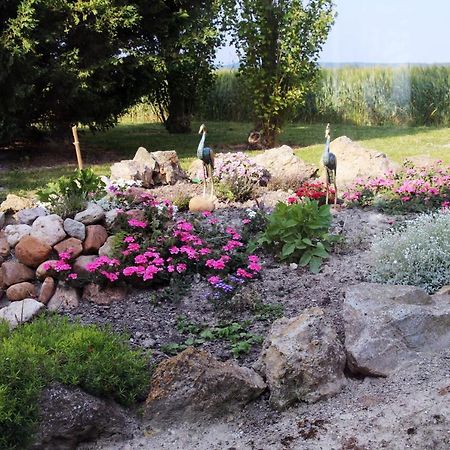 Bed and Breakfast Domaine De La Pendule Issel Экстерьер фото