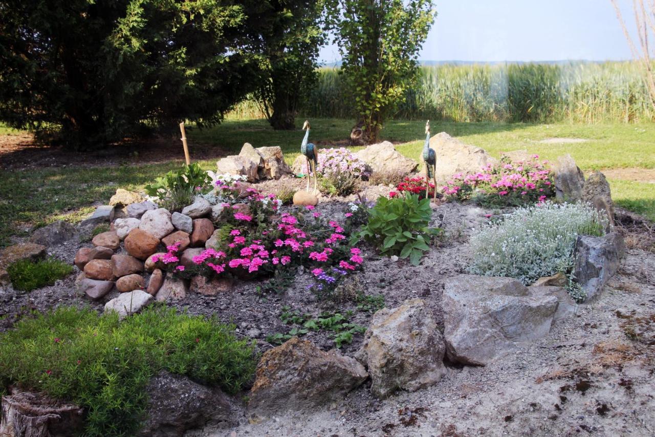 Bed and Breakfast Domaine De La Pendule Issel Экстерьер фото